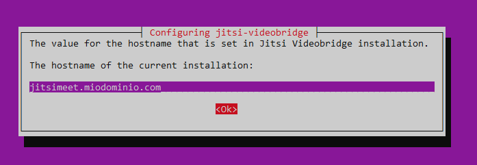 Domain selection for; installation of Jitsi Meet
