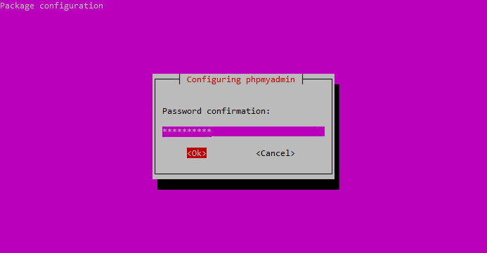 phpMyAdmin Package Configuration Enter phpMyAdmin Password