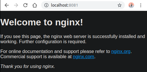 NGINX Web Page